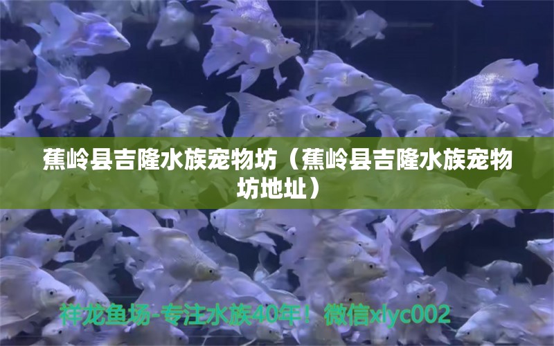 蕉岭县吉隆水族宠物坊（蕉岭县吉隆水族宠物坊地址） 全国水族馆企业名录