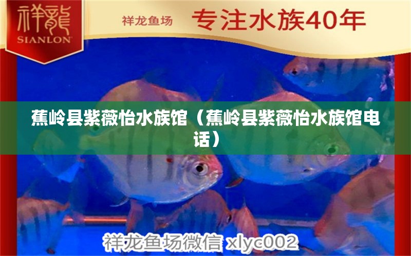 蕉岭县紫薇怡水族馆（蕉岭县紫薇怡水族馆电话） 全国水族馆企业名录