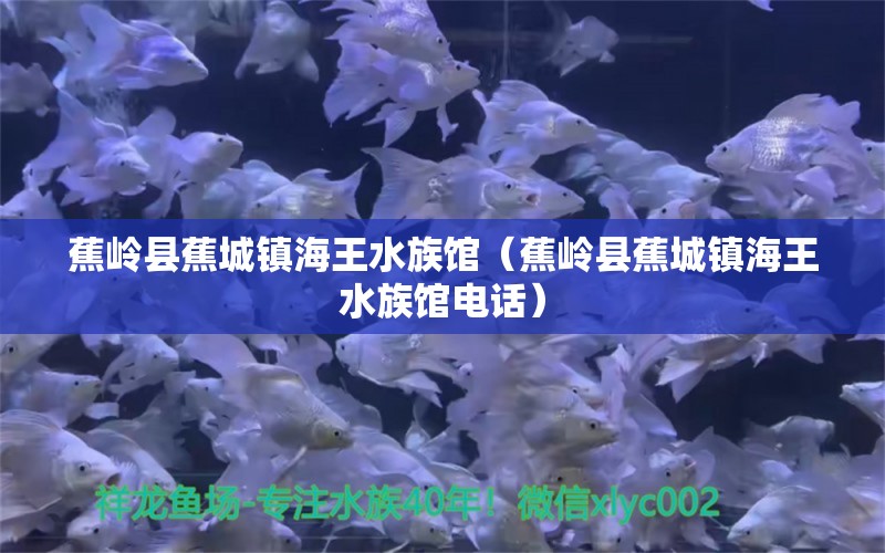 蕉岭县蕉城镇海王水族馆（蕉岭县蕉城镇海王水族馆电话）