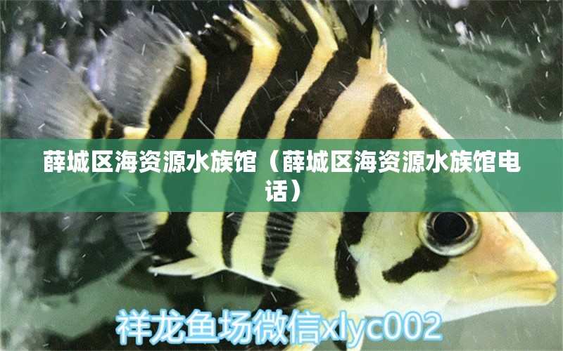 薛城区海资源水族馆（薛城区海资源水族馆电话） 全国水族馆企业名录