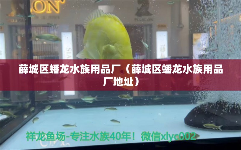 薛城区蟠龙水族用品厂（薛城区蟠龙水族用品厂地址）