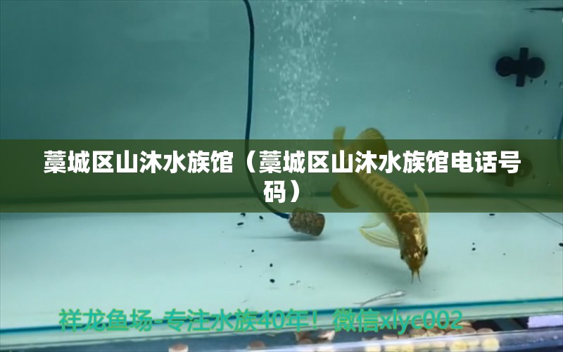 藁城区山沐水族馆（藁城区山沐水族馆电话号码）