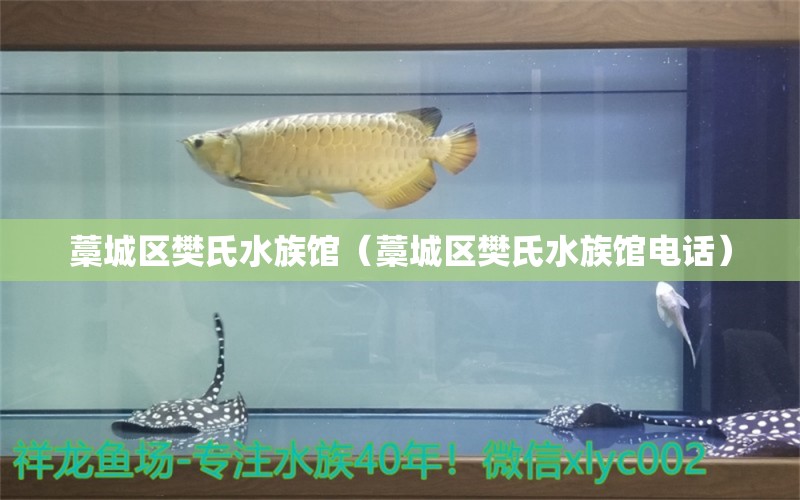 藁城区樊氏水族馆（藁城区樊氏水族馆电话） 全国水族馆企业名录