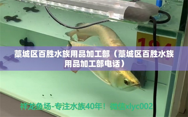 藁城区百胜水族用品加工部（藁城区百胜水族用品加工部电话）