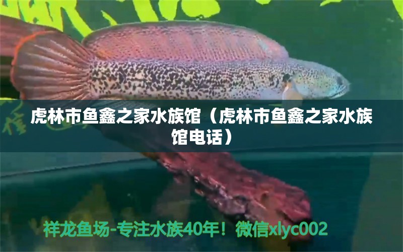 虎林市鱼鑫之家水族馆（虎林市鱼鑫之家水族馆电话）