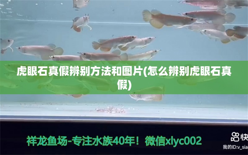 虎眼石真假辨别方法和图片(怎么辨别虎眼石真假) 鸭嘴鲨鱼