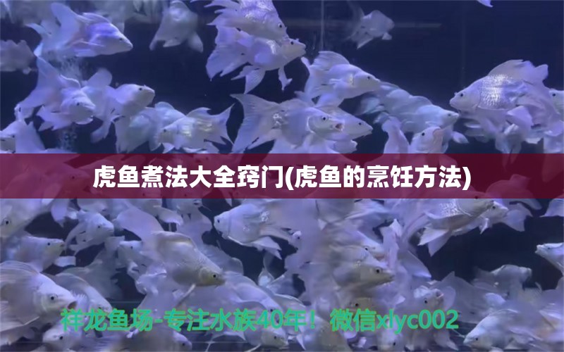 虎鱼煮法大全窍门(虎鱼的烹饪方法) 虎鱼百科 第1张