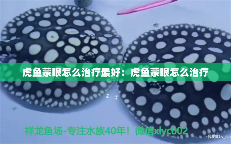 虎鱼蒙眼怎么治疗最好：虎鱼蒙眼怎么治疗