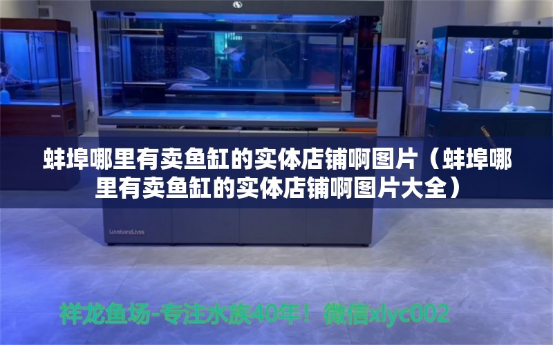 蚌埠哪里有卖鱼缸的实体店铺啊图片（蚌埠哪里有卖鱼缸的实体店铺啊图片大全） 祥龙水族滤材/器材