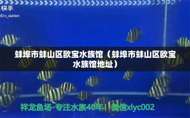 蚌埠市蚌山区欧宝水族馆（蚌埠市蚌山区欧宝水族馆地址）