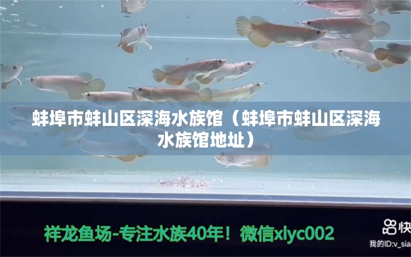 蚌埠市蚌山区深海水族馆（蚌埠市蚌山区深海水族馆地址）