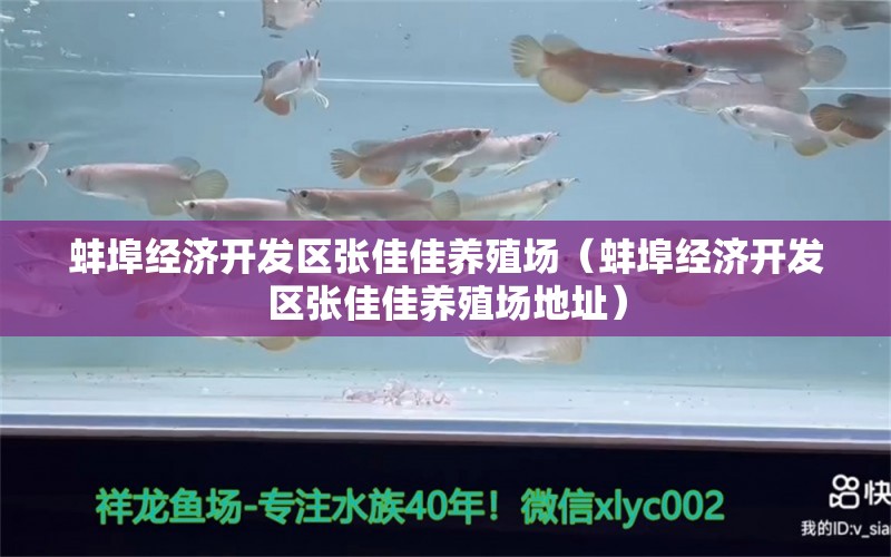 蚌埠经济开发区张佳佳养殖场（蚌埠经济开发区张佳佳养殖场地址）