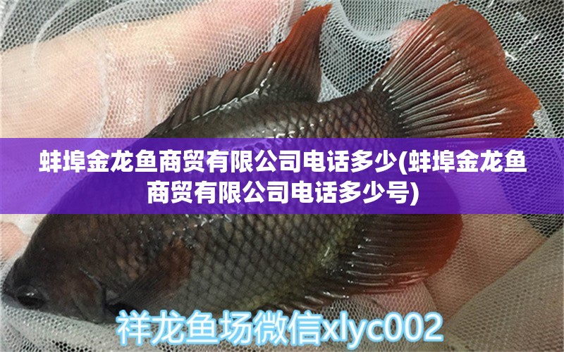 蚌埠金龙鱼商贸有限公司电话多少(蚌埠金龙鱼商贸有限公司电话多少号)