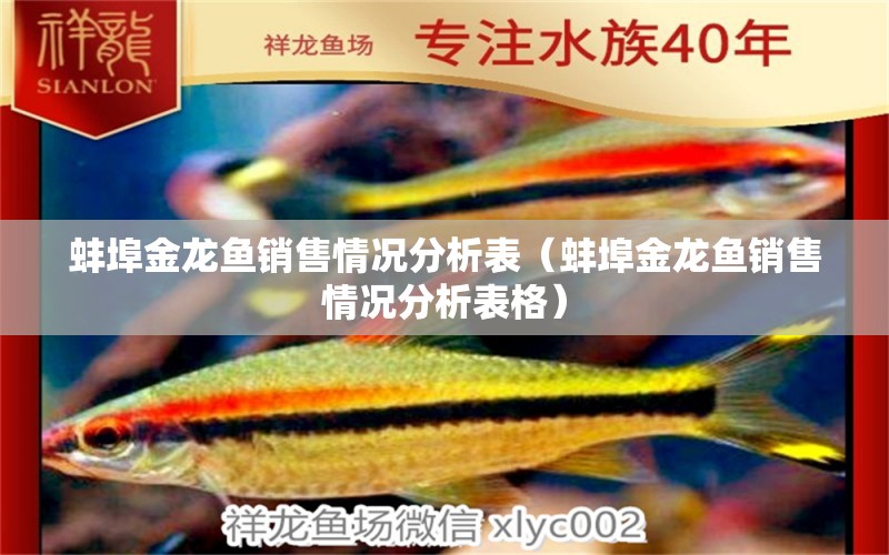 蚌埠金龙鱼销售情况分析表（蚌埠金龙鱼销售情况分析表格）