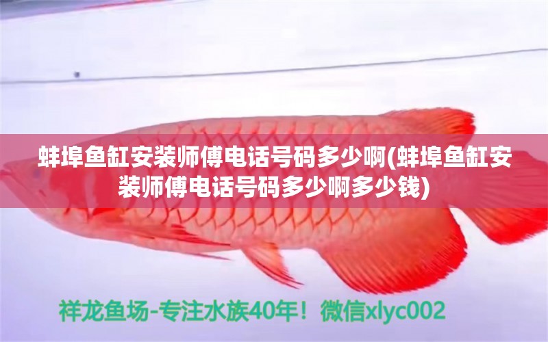 蚌埠鱼缸安装师傅电话号码多少啊(蚌埠鱼缸安装师傅电话号码多少啊多少钱) 观赏鱼鱼苗