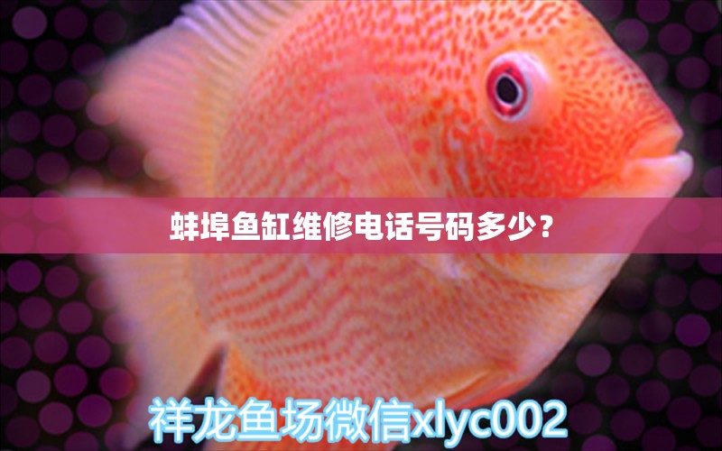 蚌埠鱼缸维修电话号码多少？