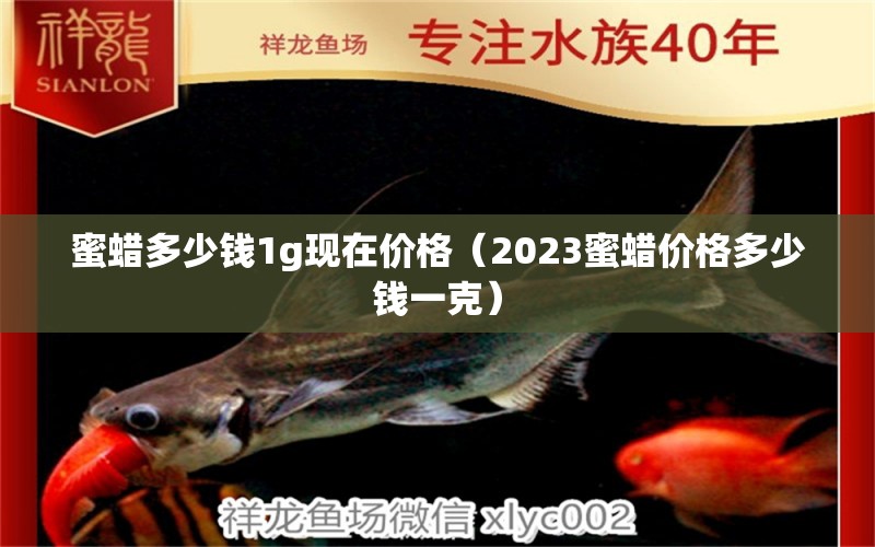 蜜蜡多少钱1g现在价格（2023蜜蜡价格多少钱一克）