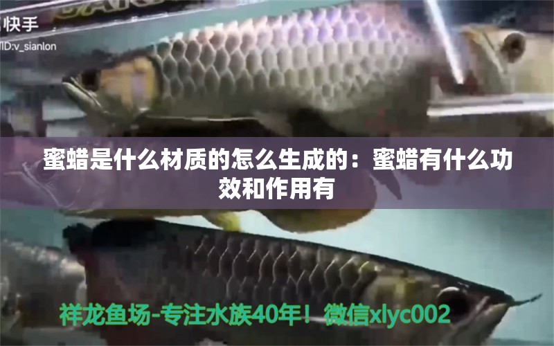 蜜蜡是什么材质的怎么生成的：蜜蜡有什么功效和作用有 文玩