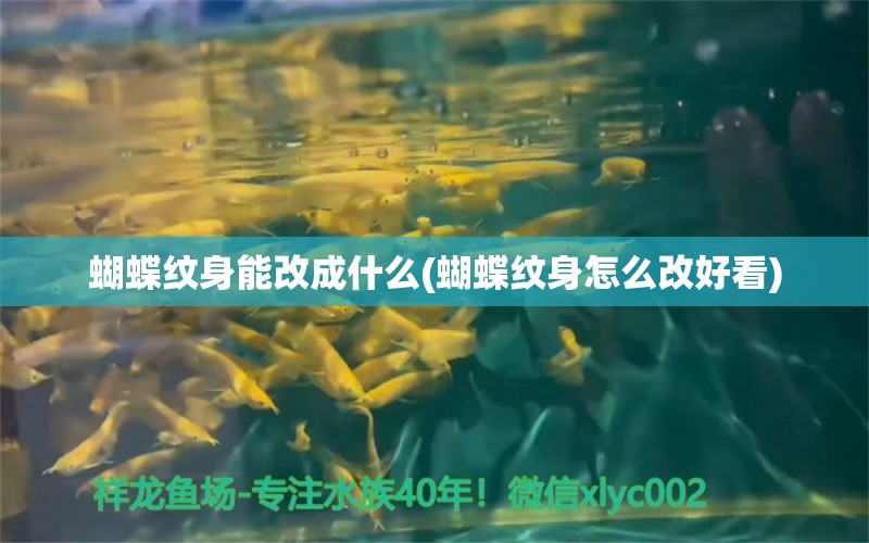 蝴蝶纹身能改成什么(蝴蝶纹身怎么改好看)