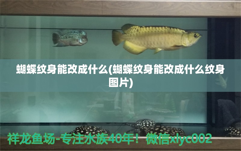 蝴蝶纹身能改成什么(蝴蝶纹身能改成什么纹身图片)