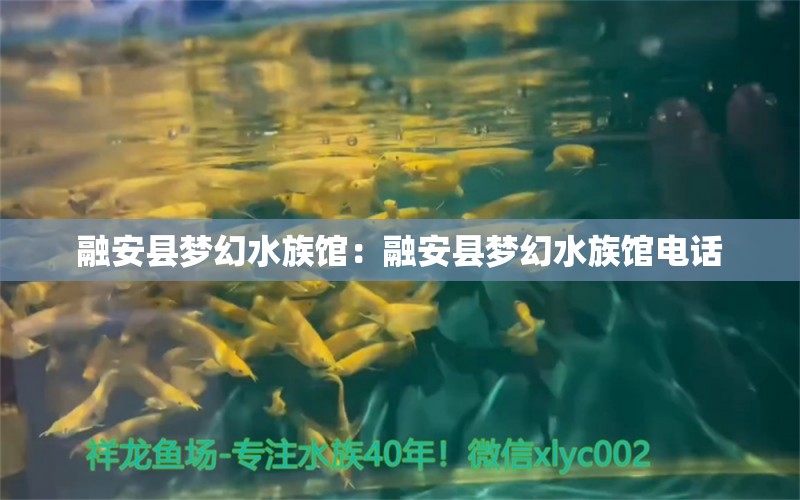 融安县梦幻水族馆：融安县梦幻水族馆电话