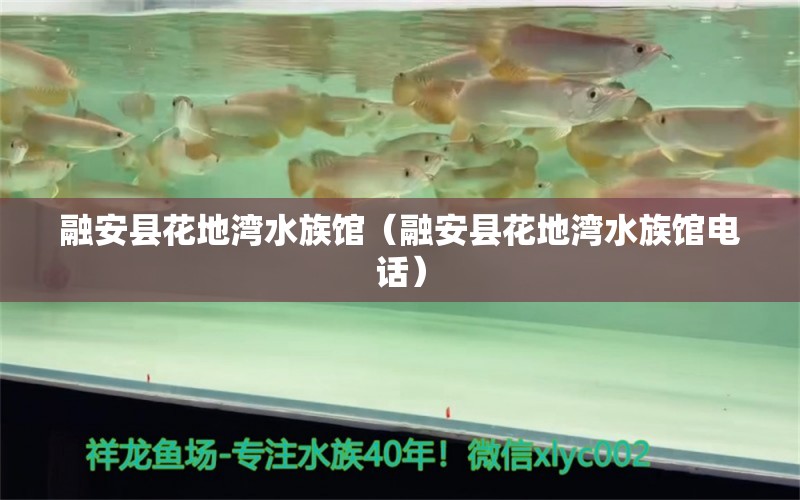 融安县花地湾水族馆（融安县花地湾水族馆电话） 全国水族馆企业名录