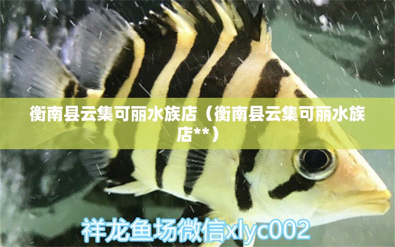 衡南县云集可丽水族店（衡南县云集可丽水族店**） 全国水族馆企业名录