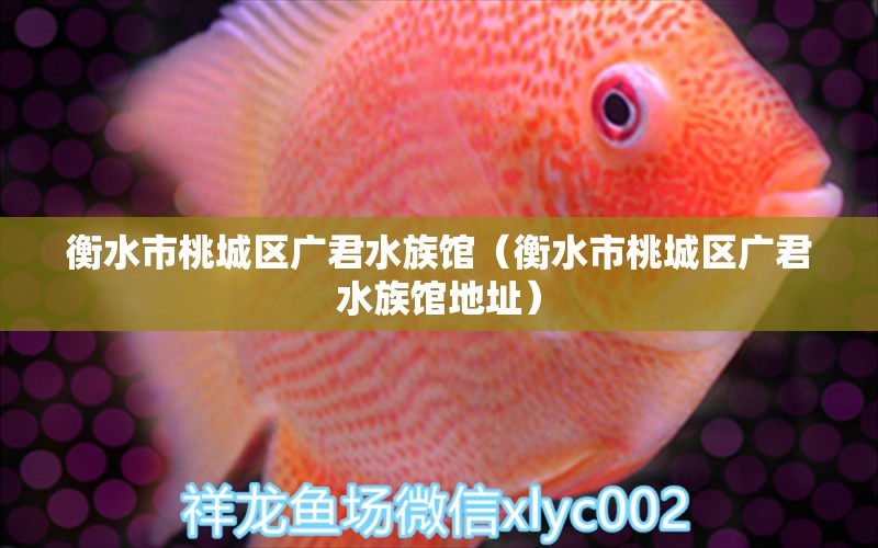 衡水市桃城区广君水族馆（衡水市桃城区广君水族馆地址）