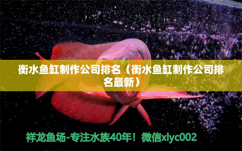 衡水鱼缸制作公司排名（衡水鱼缸制作公司排名最新） 广州观赏鱼批发市场