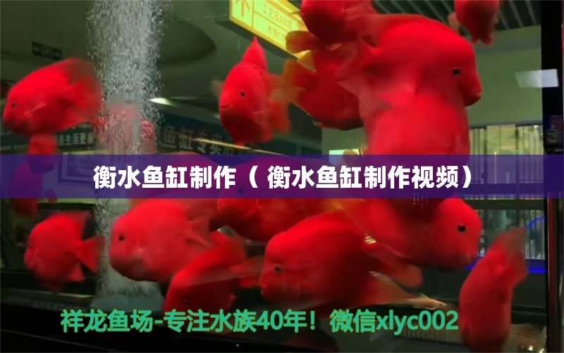 衡水鱼缸制作（ 衡水鱼缸制作视频） 祥龙金禾金龙鱼 第1张