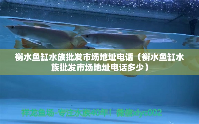 衡水鱼缸水族批发市场地址电话（衡水鱼缸水族批发市场地址电话多少）