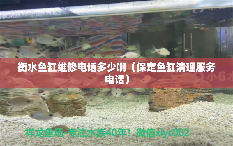 衡水鱼缸维修电话多少啊（保定鱼缸清理服务电话） 三色锦鲤鱼