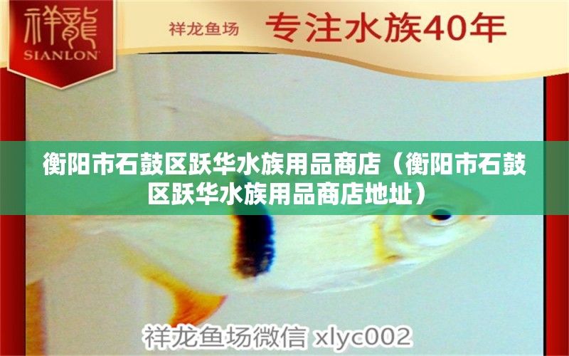 衡阳市石鼓区跃华水族用品商店（衡阳市石鼓区跃华水族用品商店地址） 水族用品