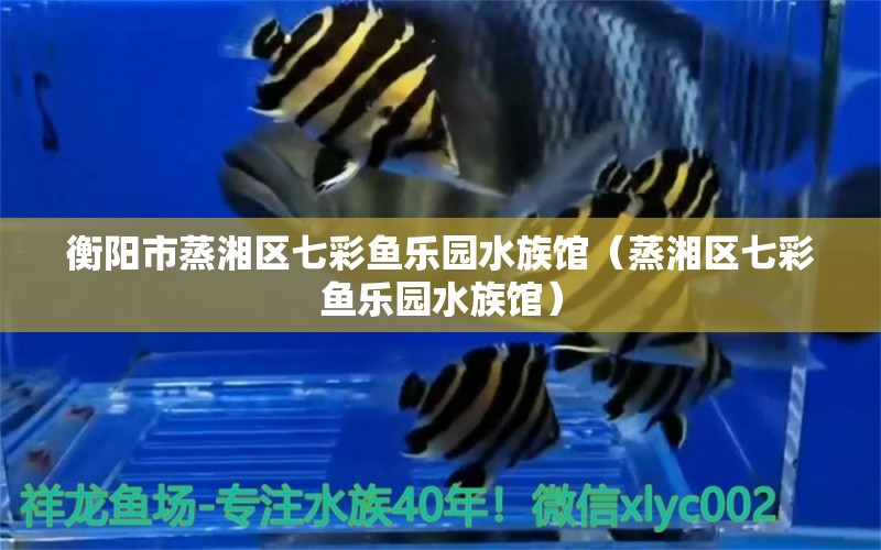 衡阳市蒸湘区七彩鱼乐园水族馆（蒸湘区七彩鱼乐园水族馆） 全国观赏鱼市场 第2张