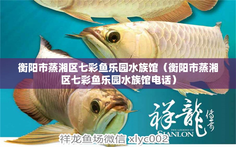 衡阳市蒸湘区七彩鱼乐园水族馆（衡阳市蒸湘区七彩鱼乐园水族馆电话）