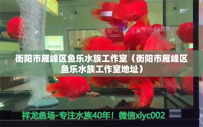 衡阳市雁峰区鱼乐水族工作室（衡阳市雁峰区鱼乐水族工作室地址）