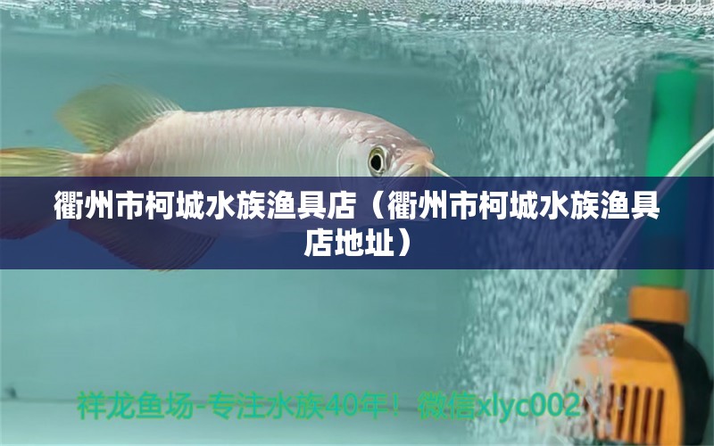 衢州市柯城水族渔具店（衢州市柯城水族渔具店地址）