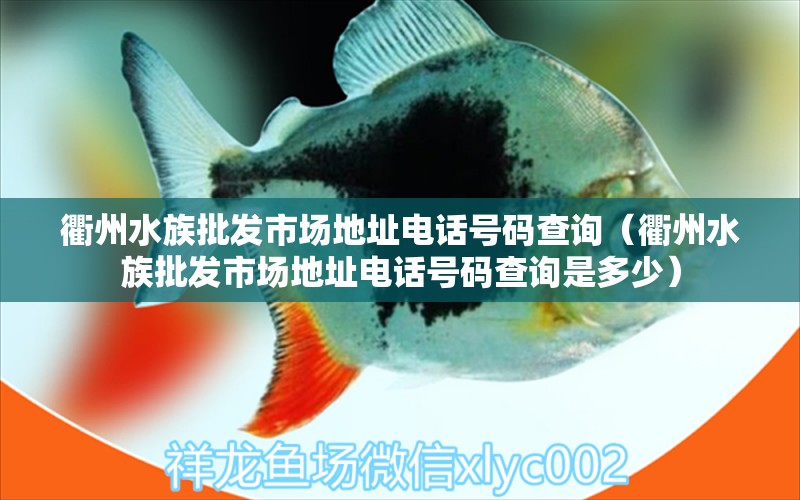 衢州水族批发市场地址电话号码查询（衢州水族批发市场地址电话号码查询是多少）