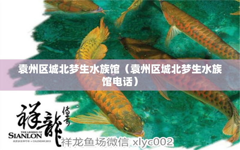 袁州区城北梦生水族馆（袁州区城北梦生水族馆电话） 全国水族馆企业名录