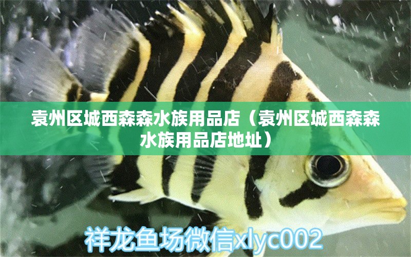 袁州区城西森森水族用品店（袁州区城西森森水族用品店地址）