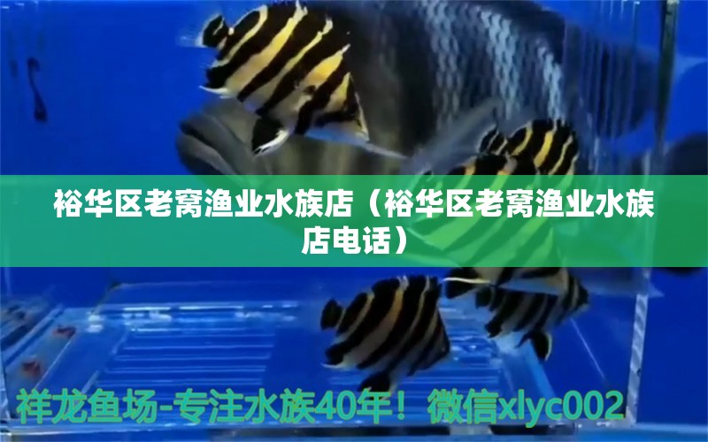 裕华区老窝渔业水族店（裕华区老窝渔业水族店电话）