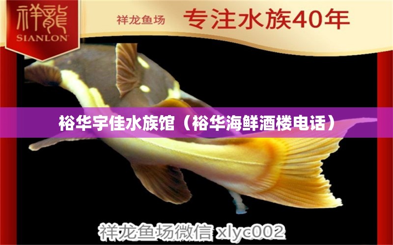 裕华宇佳水族馆（裕华海鲜酒楼电话） 全国水族馆企业名录