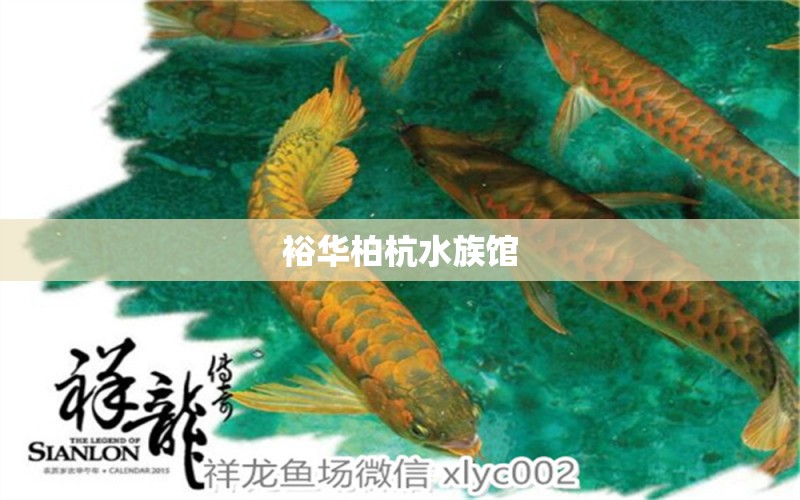 裕华柏杭水族馆