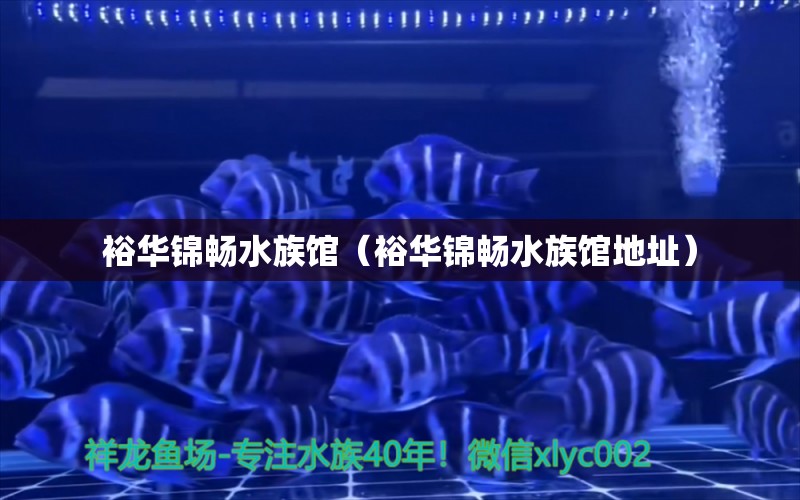 裕华锦畅水族馆（裕华锦畅水族馆地址）