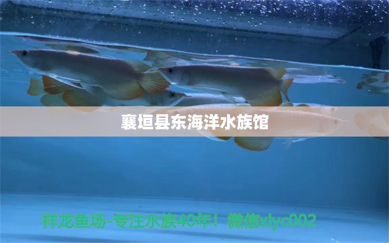 襄垣县东海洋水族馆