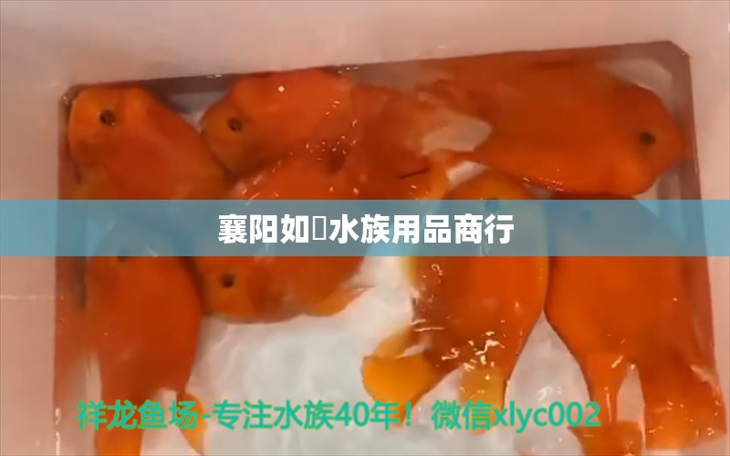 襄阳如億水族用品商行 水族用品