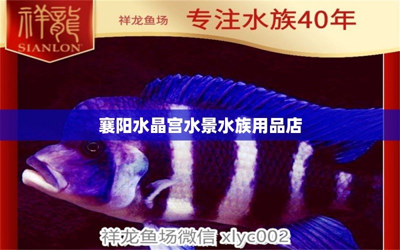 襄阳水晶宫水景水族用品店 水族用品