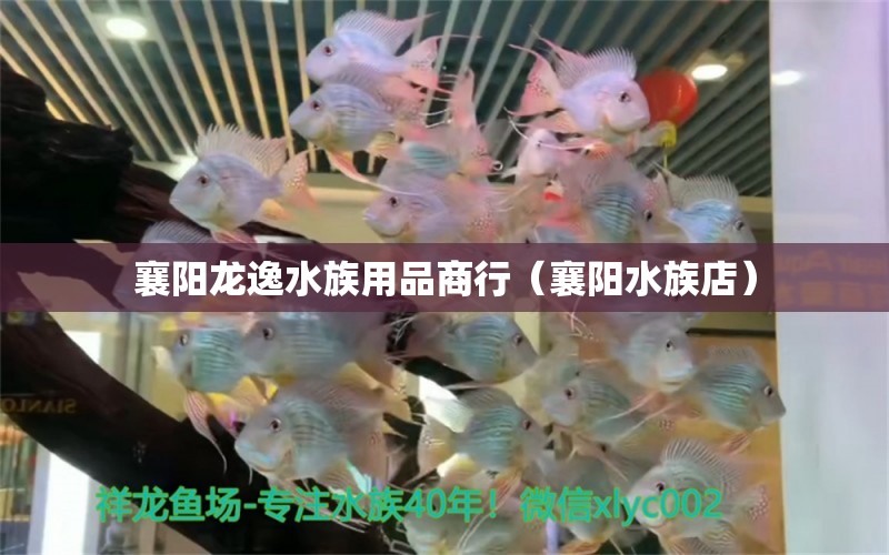 襄阳龙逸水族用品商行（襄阳水族店）