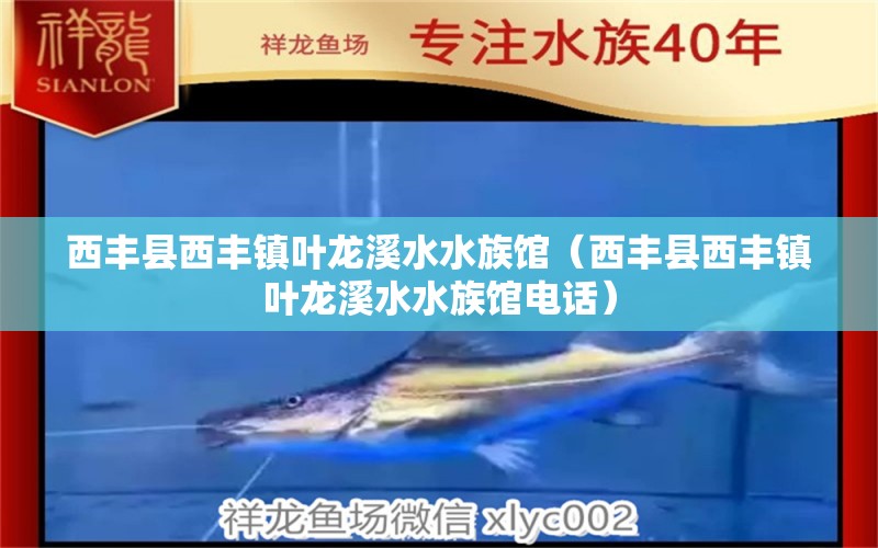 西丰县西丰镇叶龙溪水水族馆（西丰县西丰镇叶龙溪水水族馆电话） 全国水族馆企业名录