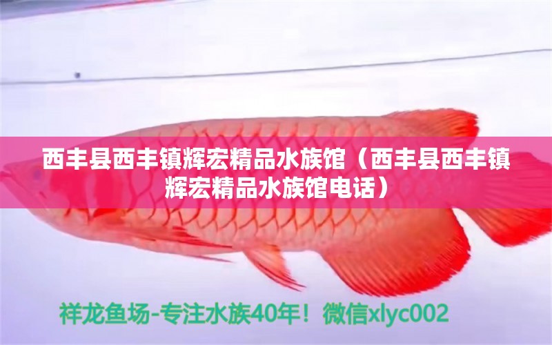 西丰县西丰镇辉宏精品水族馆（西丰县西丰镇辉宏精品水族馆电话）